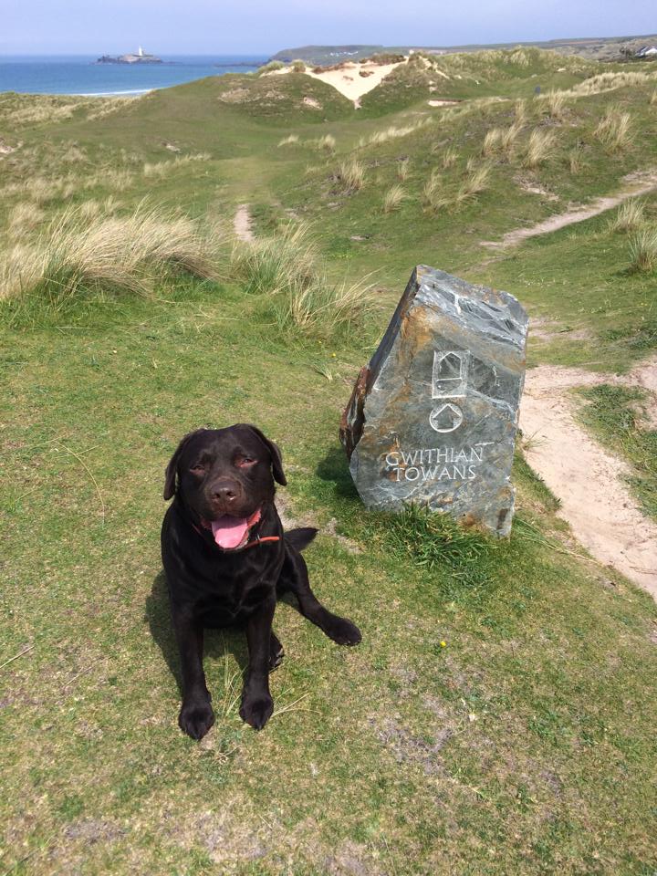 Gwithian Towans dog walk