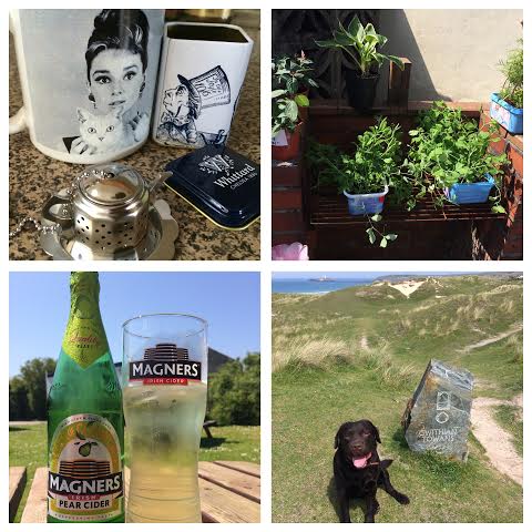 my week in photos