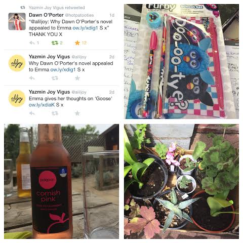 my week in photos
