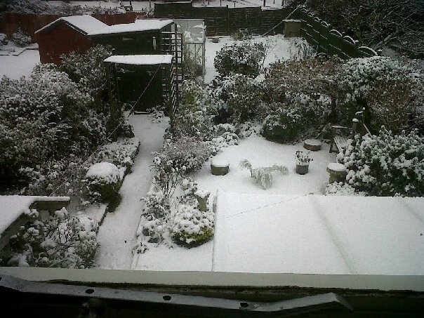 snow