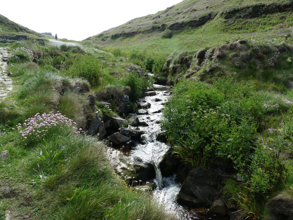 Cot Valley