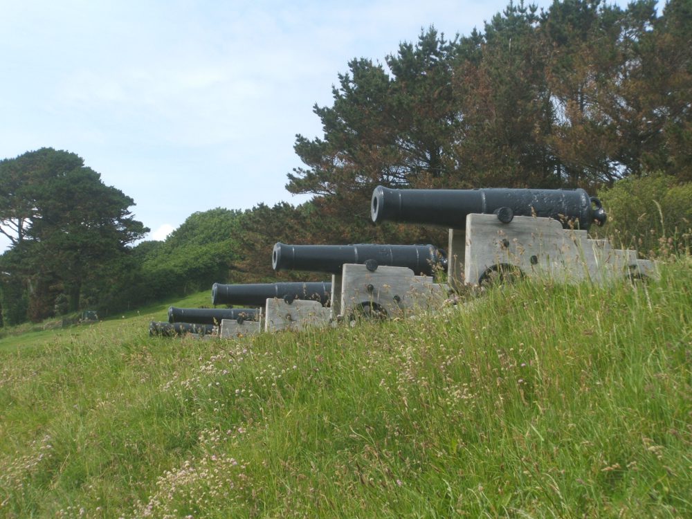 st mawes castle grounds
