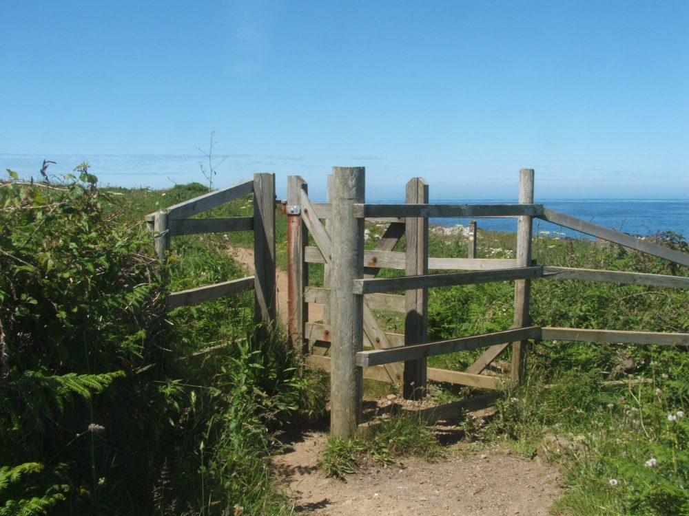 coastal walk, st ives, cornwall