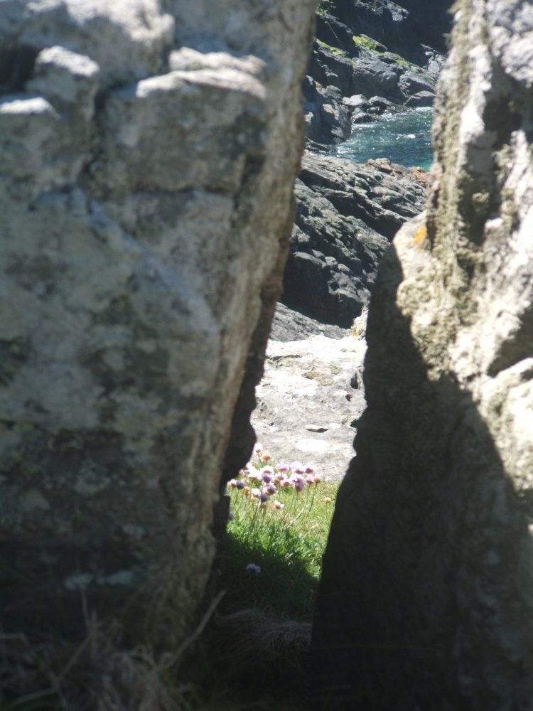 coastal walk, st ives, cornwall