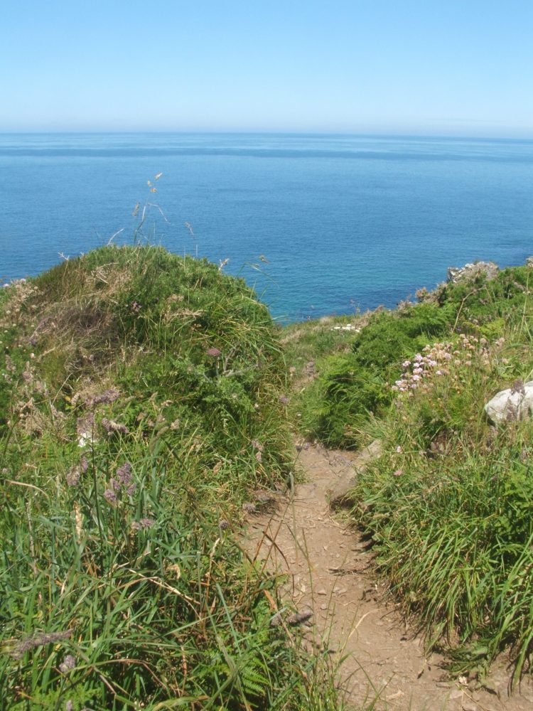 coastal walk, st ives, cornwall