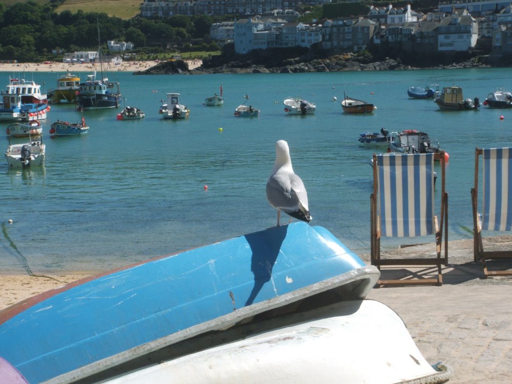 st ives, cornwall