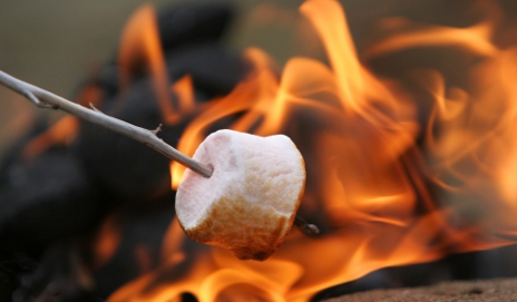 toasting marshmallows