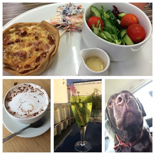 my week in photos