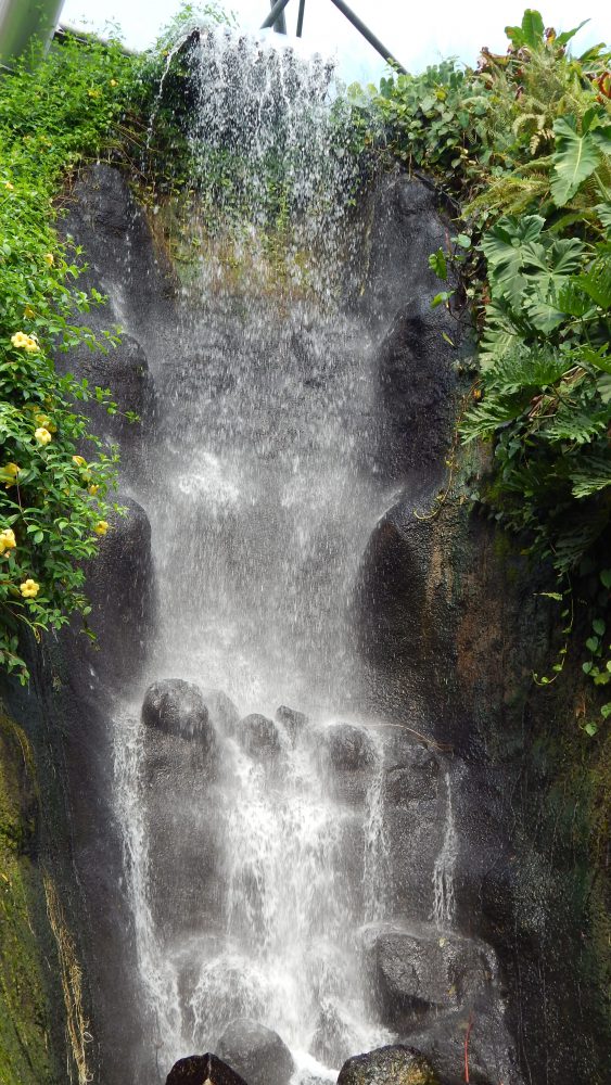The Eden Project