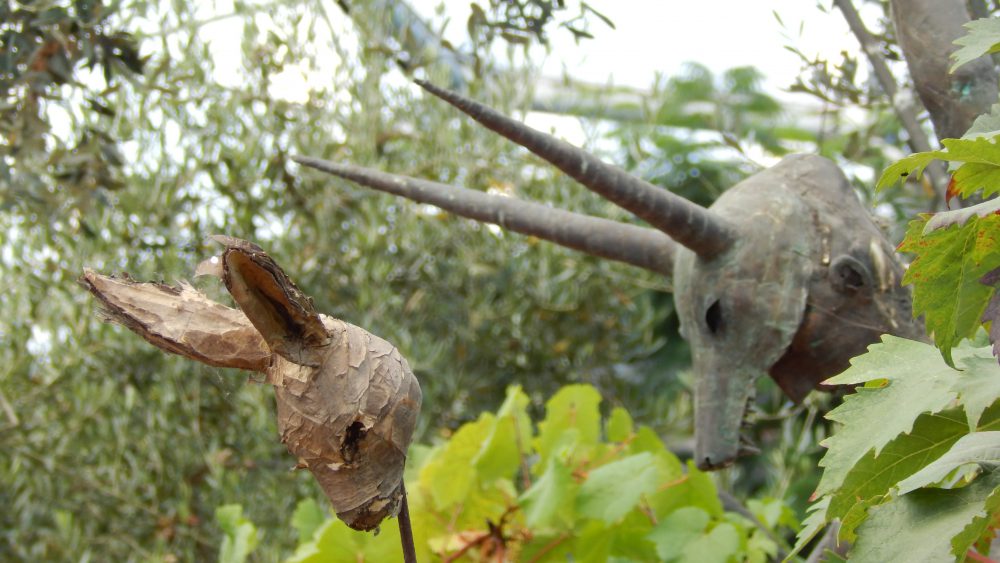 The Eden Project