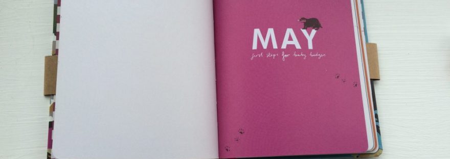 joules 2015 diary