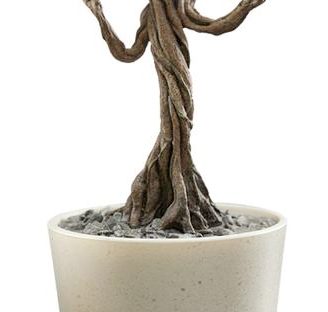 groot hot toys from forbidden planet