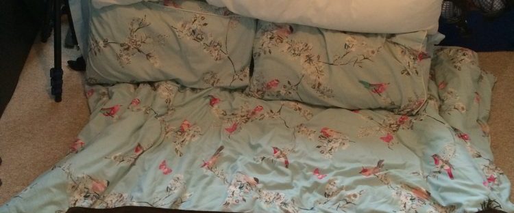 perfect night in - cushions