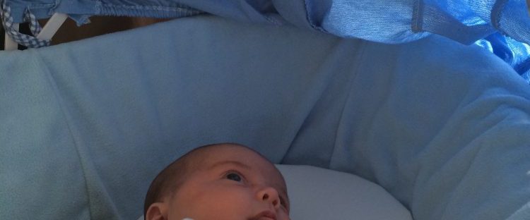 jenson in his moses basket