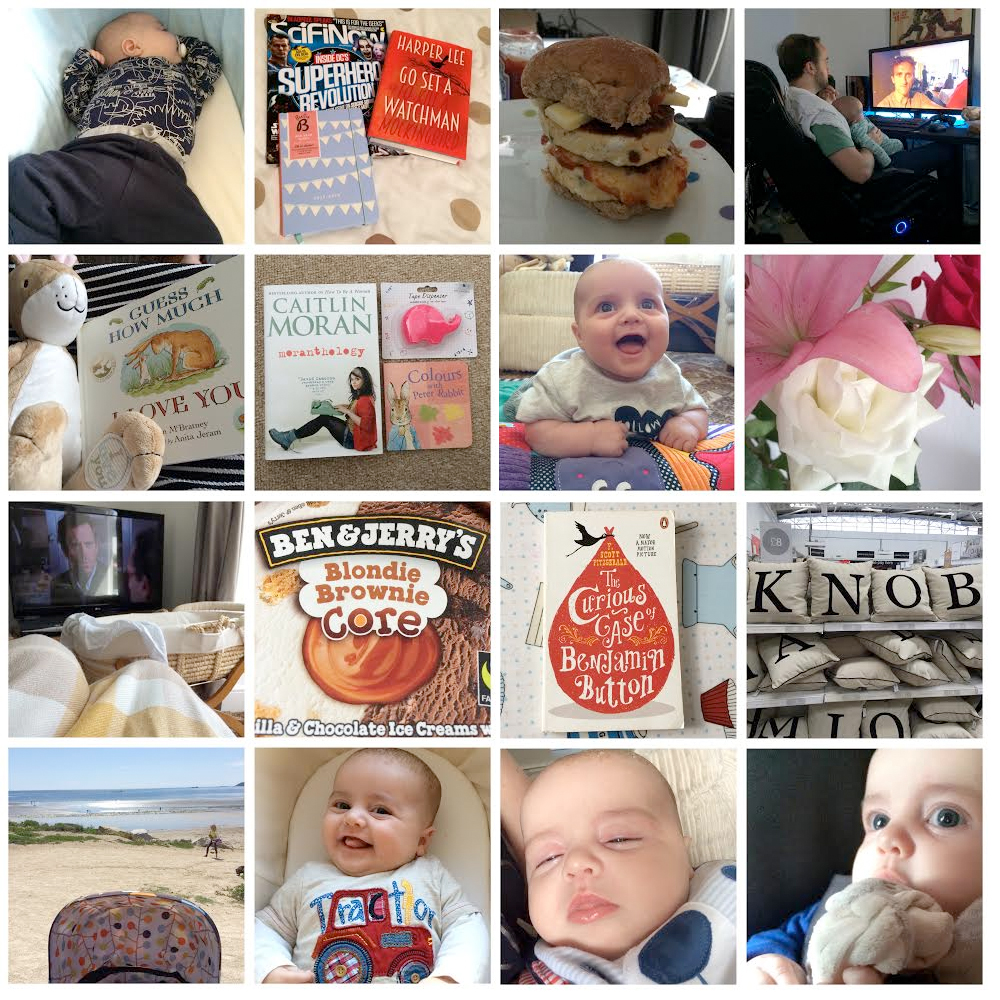 my life in photos august 2015
