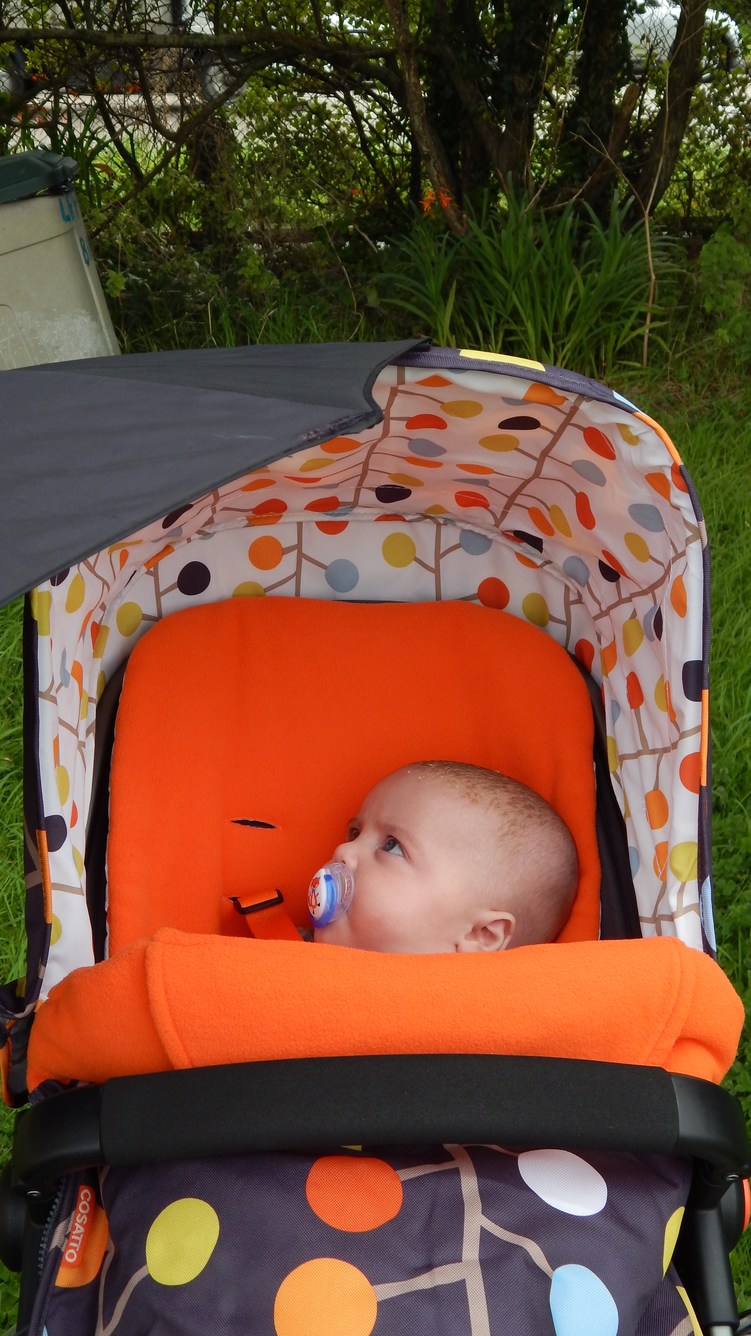 Jenson in his buggy for the first time