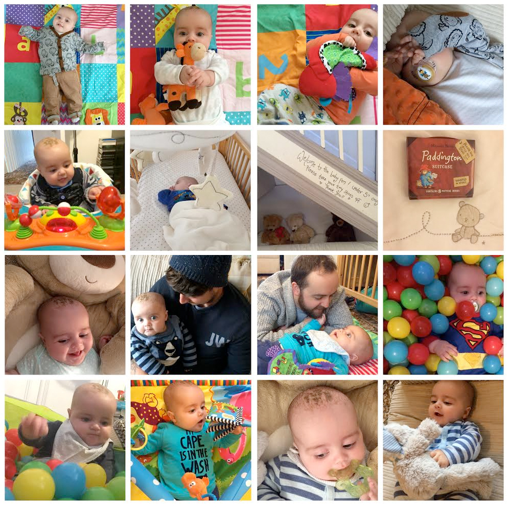 jenson's october in photos 2015