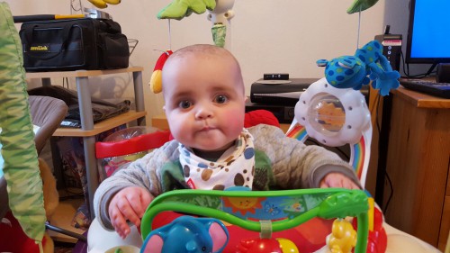 a day in the life of jenson - jumperoo