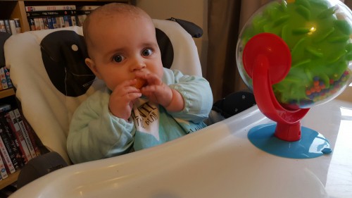 a day in the life of jenson - lunch time