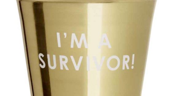 plant pot from h&m
