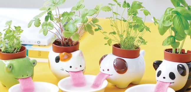 drinking planters from firebox