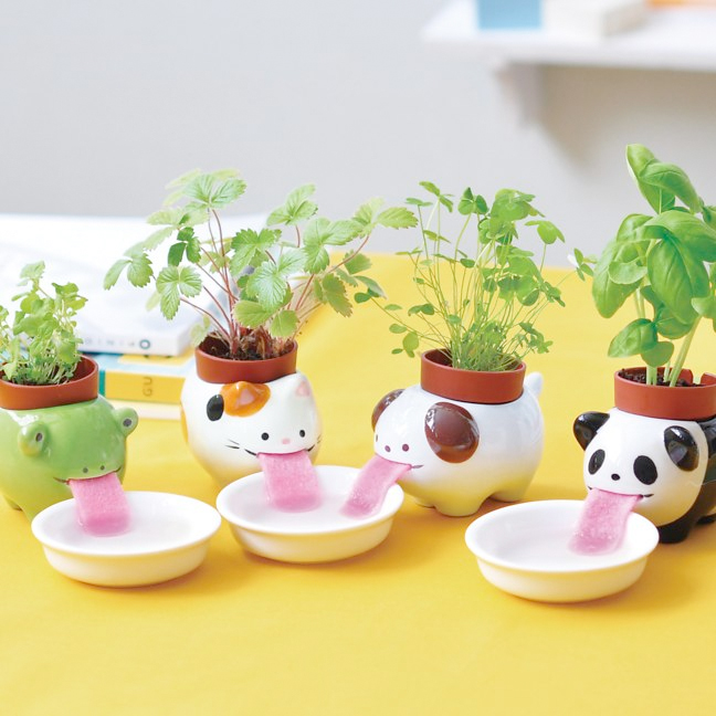 drinking planters from firebox