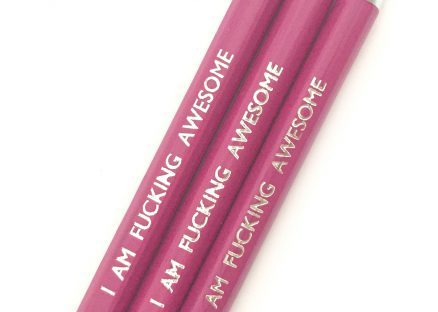 fucking awesome pencils from lalaland