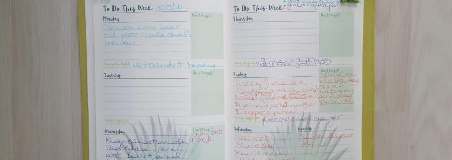 bloggers journal first completed week