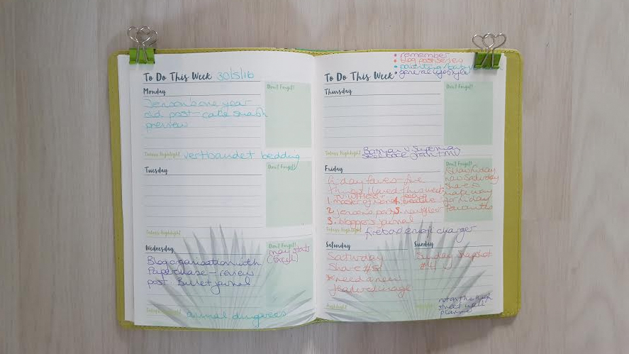 bloggers journal first completed week