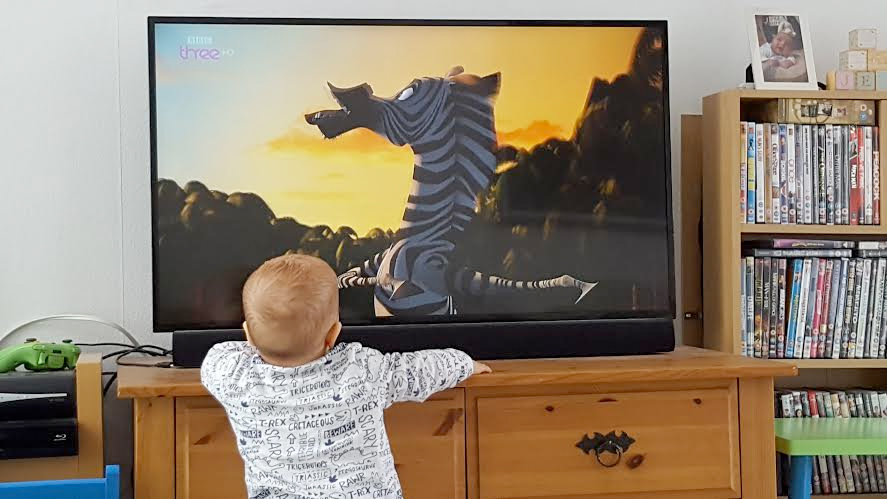 jenson 14 months tv