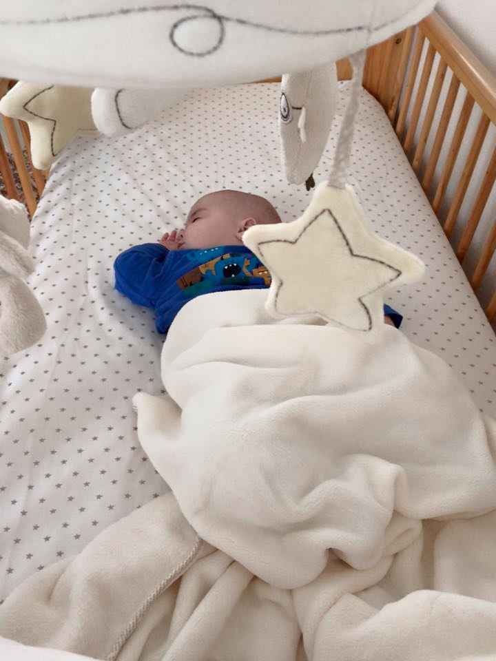 jenson napping six months