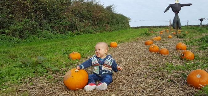 trevaskis farm pumpkin patch