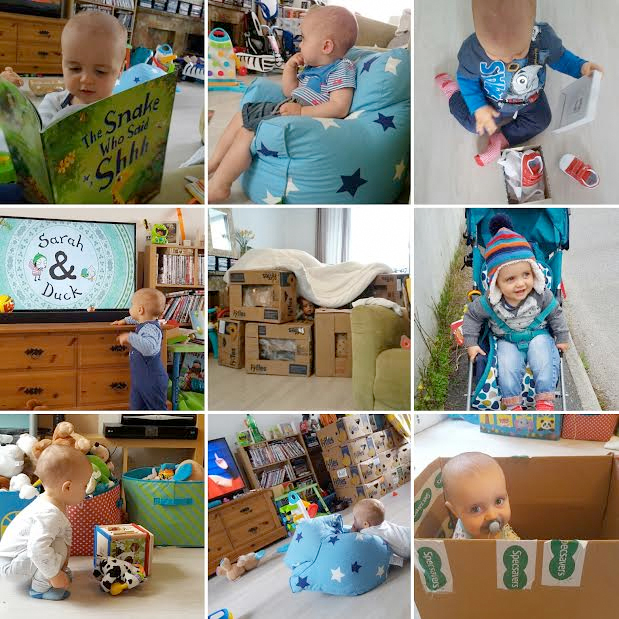 jensons september 2016 photos