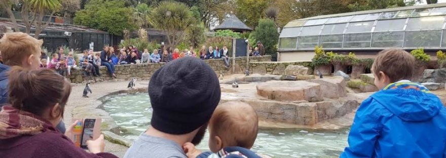 luke and jenson with penguins