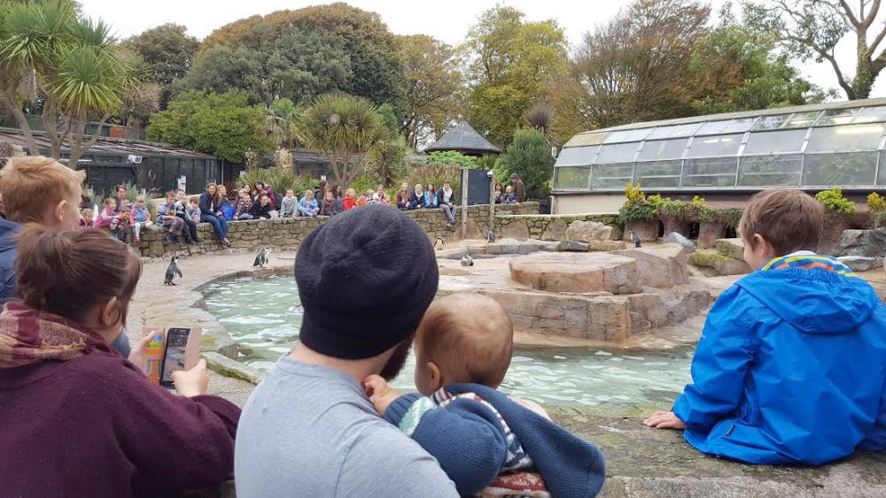 luke and jenson with penguins