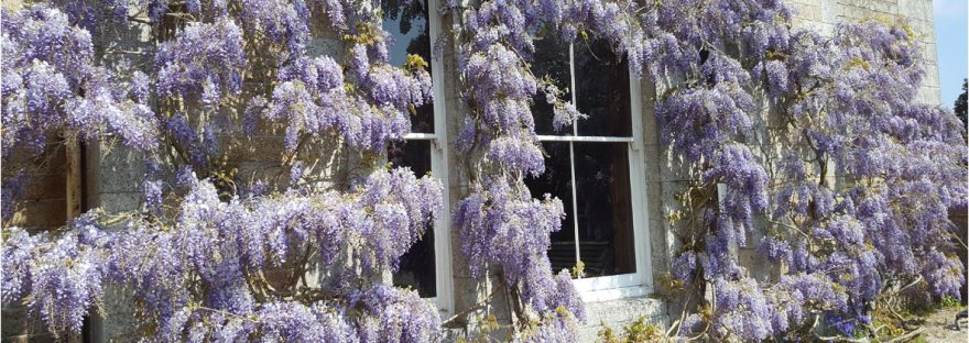 spring gardens