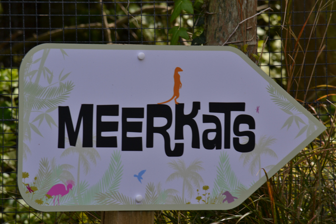 newquay zoo