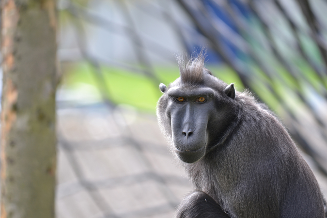 newquay zoo