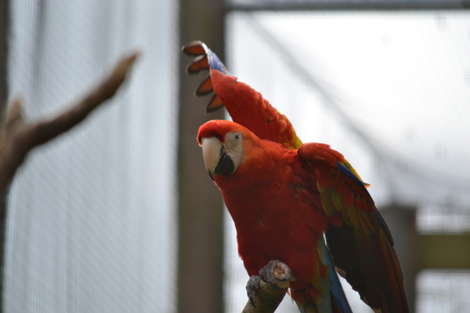 newquay zoo