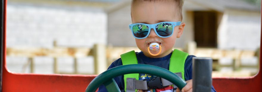 jenson at paradise park