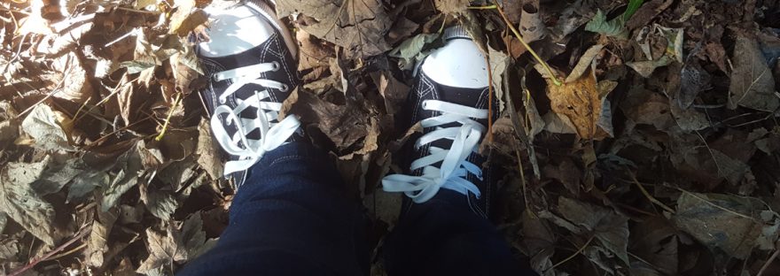 new shoes autumn leaves