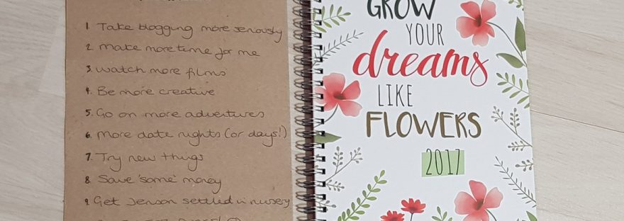 2017 goals review