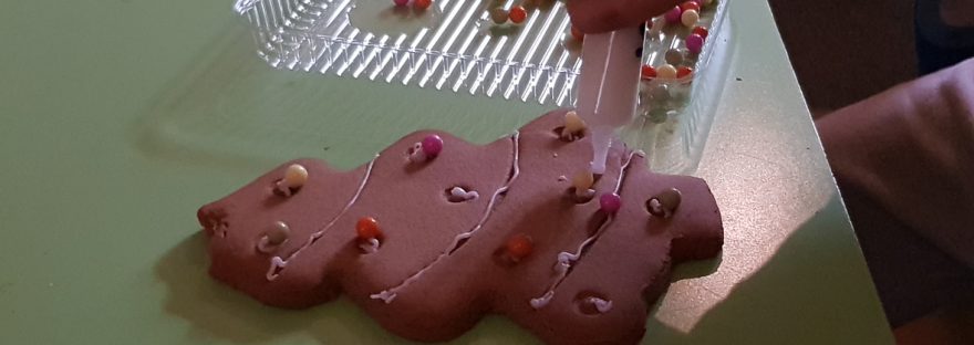 christmas biscuit