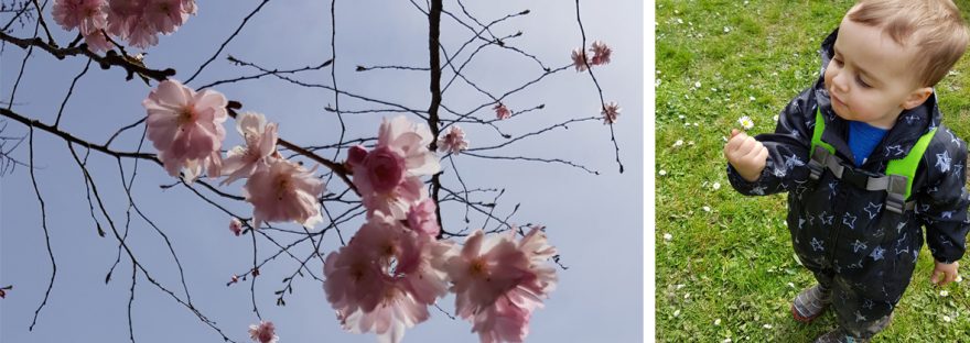 Park spring