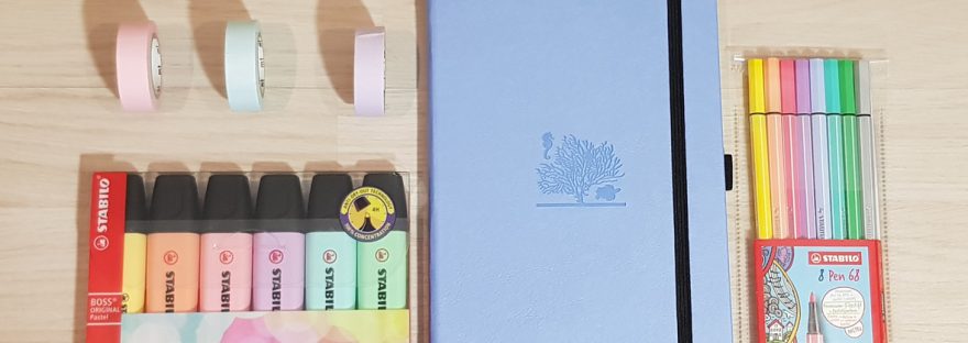 Dingbats Earth Journal and Stabilo pens review - bullet journal layouts