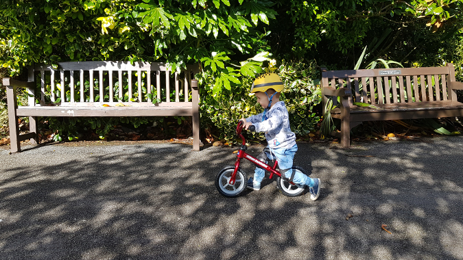 Autumn bike ride