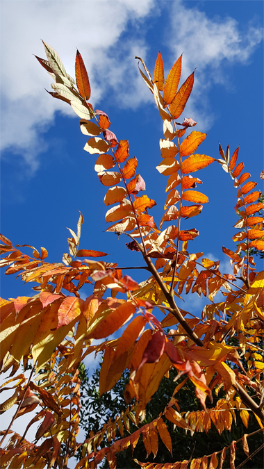 Autumn bike ride