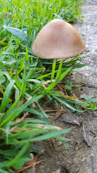 Autumn bike ride