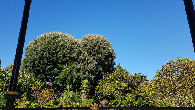 Heart tree
