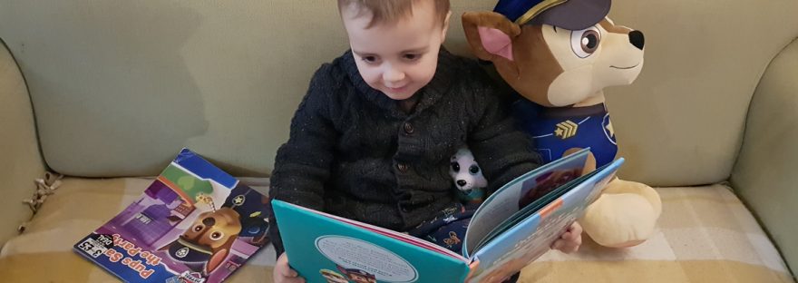 Paw Patrol book review
